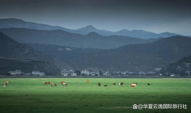 测评：9999分王者与行业暗礁避坑开元棋牌2025年云南旅行社深度(图2)